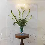 아드리아티코